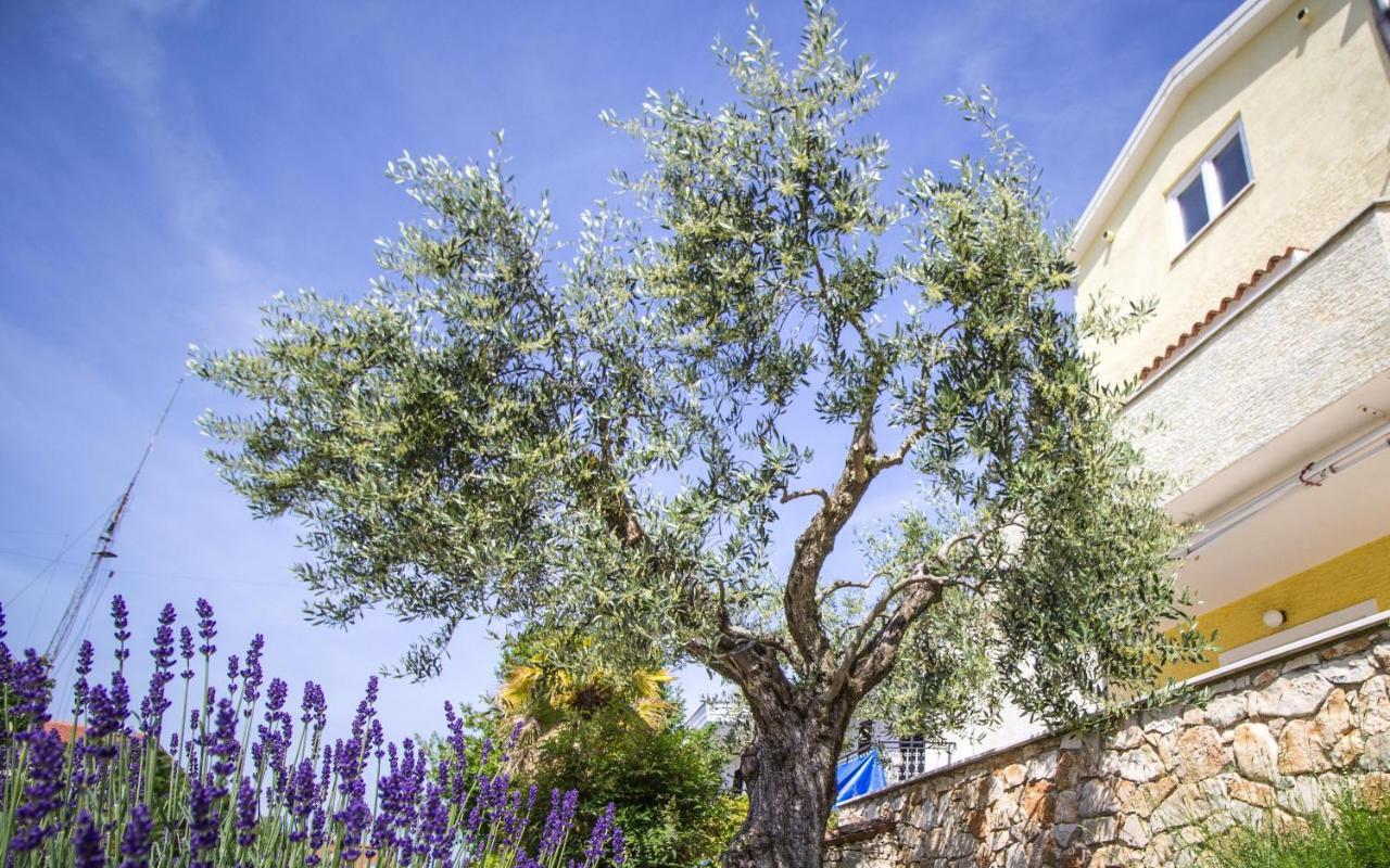 Apartments Balach Пореч Экстерьер фото